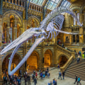 Exploring the Best Museums and Galleries in London, England